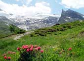 Ganzjahres-Gletscher-Skigebiet Hintertux